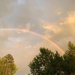 Meet your Posher, Leonarda